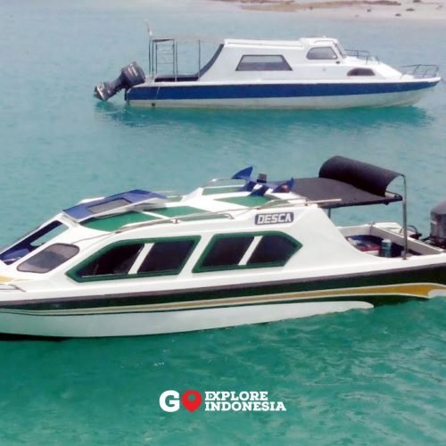 Speedboat besar wisata mesin 200 PK bersandar di dermaga, siap membawa 15 orang penumpang menuju Kepulauan Derawan