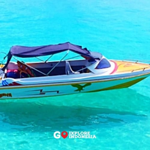 Speedboat ukuran kecil untuk kapasitas 4 orang sedang melaju di laut jernih Kepulauan Derawan