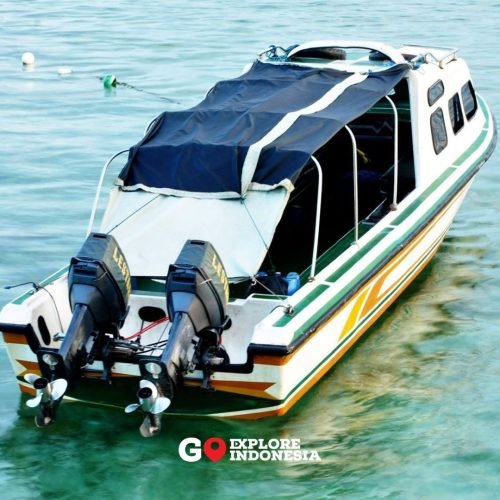 Dua mesin kapal tempel 40 PK terpasang sejajar di bagian belakang speedboat wisata sedang kapasitas 8 orang ke Derawan