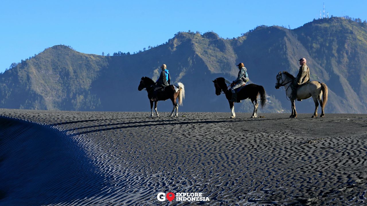 Orang Suku Tengger bersama kudanya melintasi lautan pasir Gunung Bromo saat pagi hari.